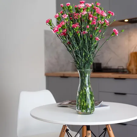 Appartement Legnicka With Ac - Properunit Wrocław