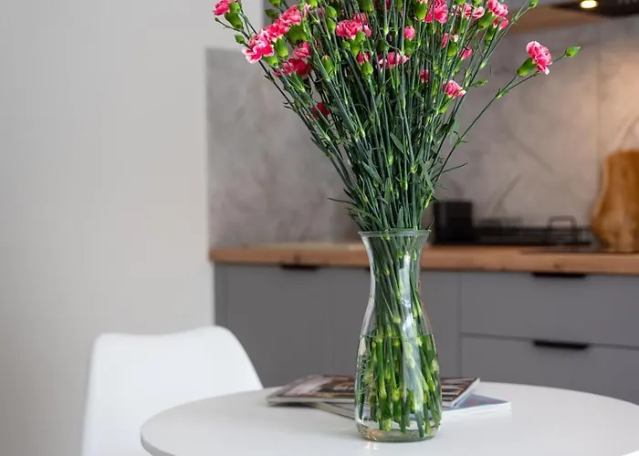 Lejlighed Legnicka With Ac - Properunit Wrocław